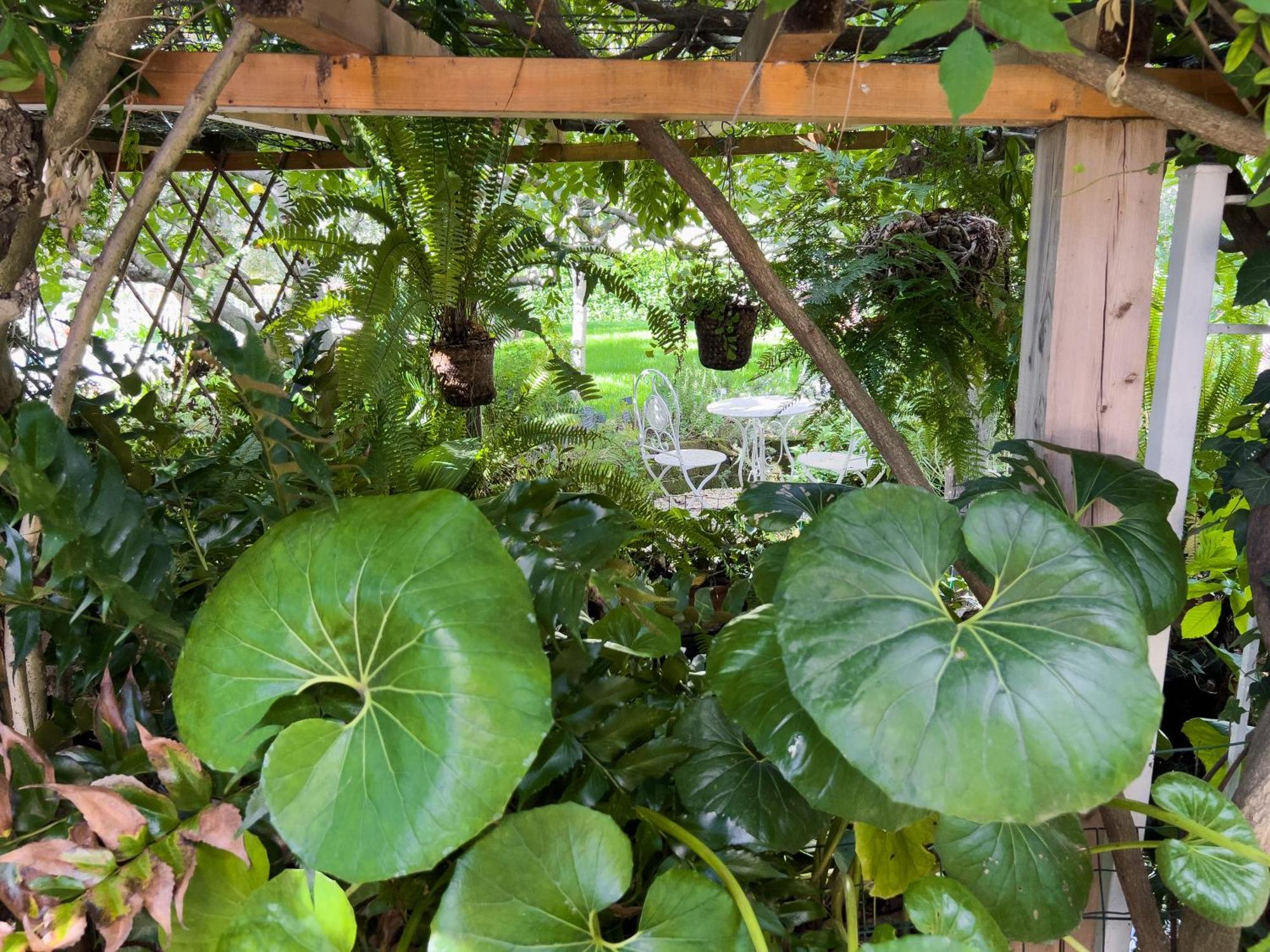 Villa La Rodina ดิอาโนมารีนา ภายนอก รูปภาพ